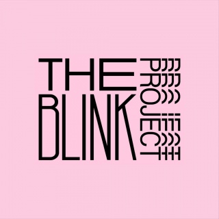 The Blink Project