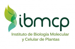 IBMCP