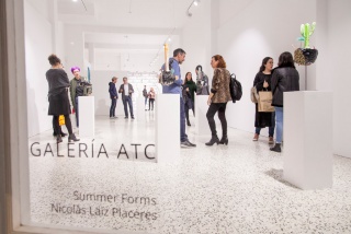 Exposición "Summer Forms" de Nicolás Laiz Placeres