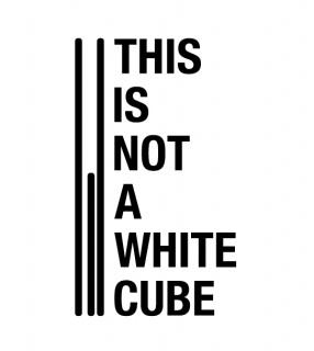 THIS IS NOT A WHITE CUBE