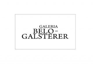Galeria Belo-Galsterer