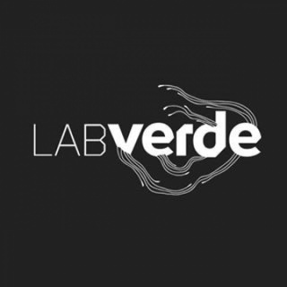Labverde - Arts Immersion Program in the Amazon