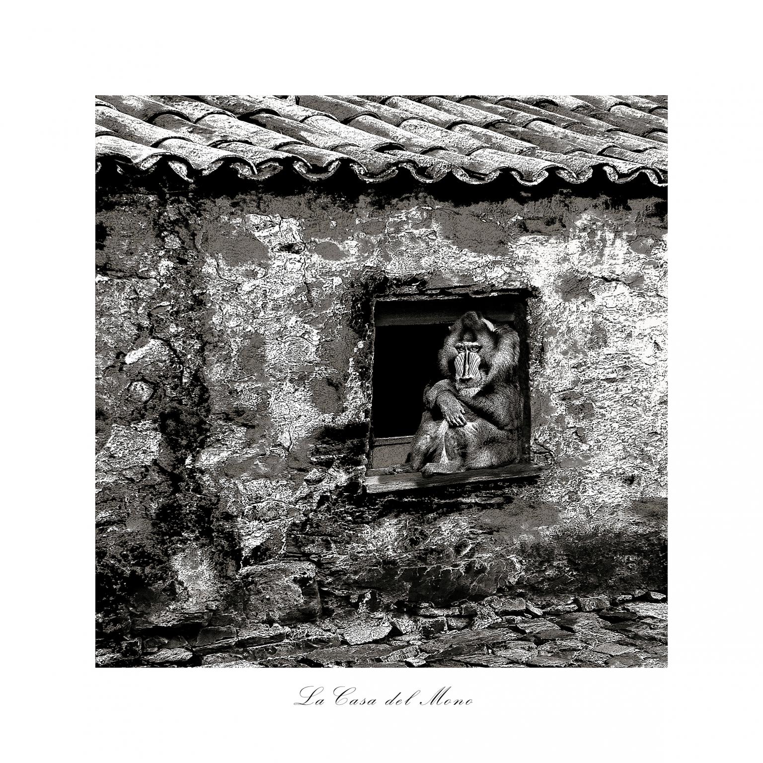 LA CASA DEL MONO (2020) - Mario Binetti
