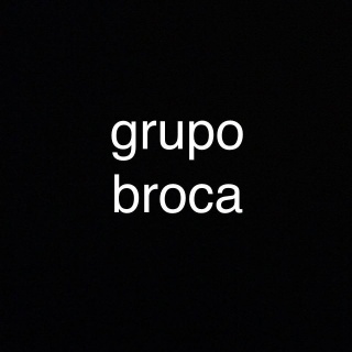 Grupo Broca