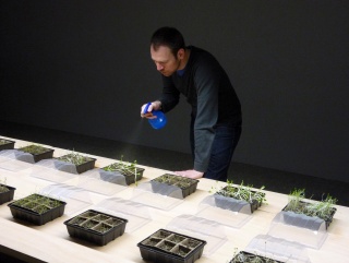 Robert Waters regando plantas en Artium (Vitoria-Gasteiz) durante su exposición "uncover RECOVER" (2011)