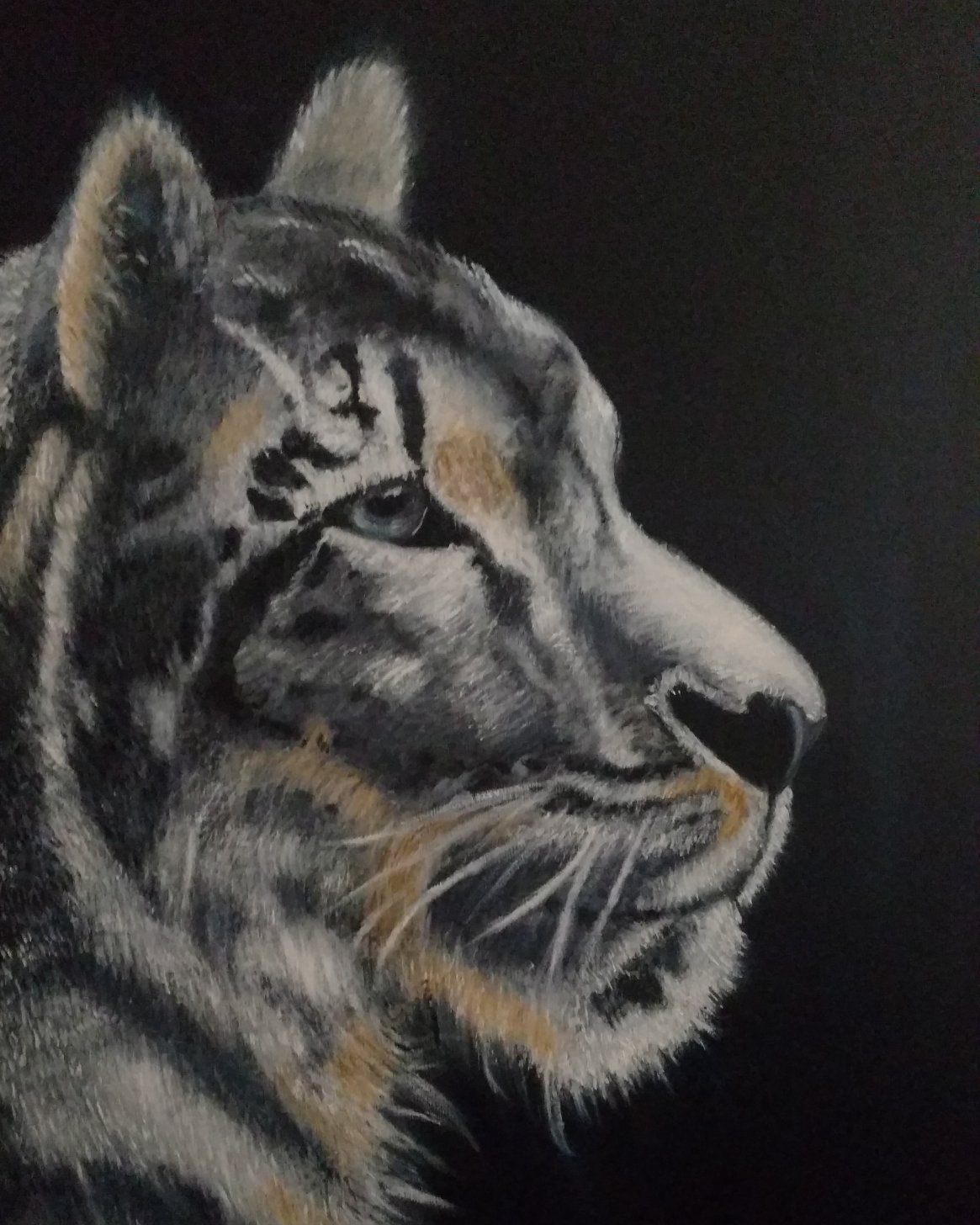 Tigre Blanco (2020) - Laura Montes - L.Montes