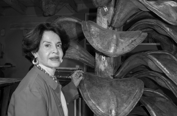 Ana Pellicer