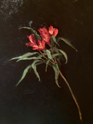 ArteInformado