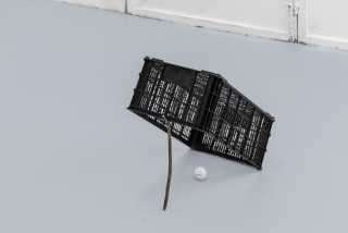 Armadilha para ricos (2019). Plastic box, twig and golf ball, 45x45x30cm