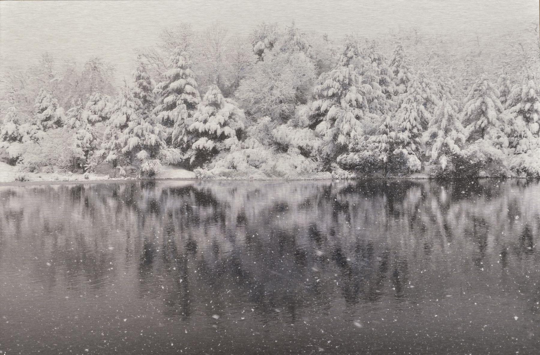 Reflexión sobre el paso del tiempo en la naturaleza. Cada obra está definida por una fecha y una hora. Tratamiento al óleo sobre foto en blanco y negro impresa sobre dibond aluminio (2018) - Coro López-Izquierdo Botín - Coro