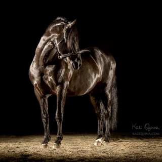 Kali Quina. Fotógrafa de Caballos