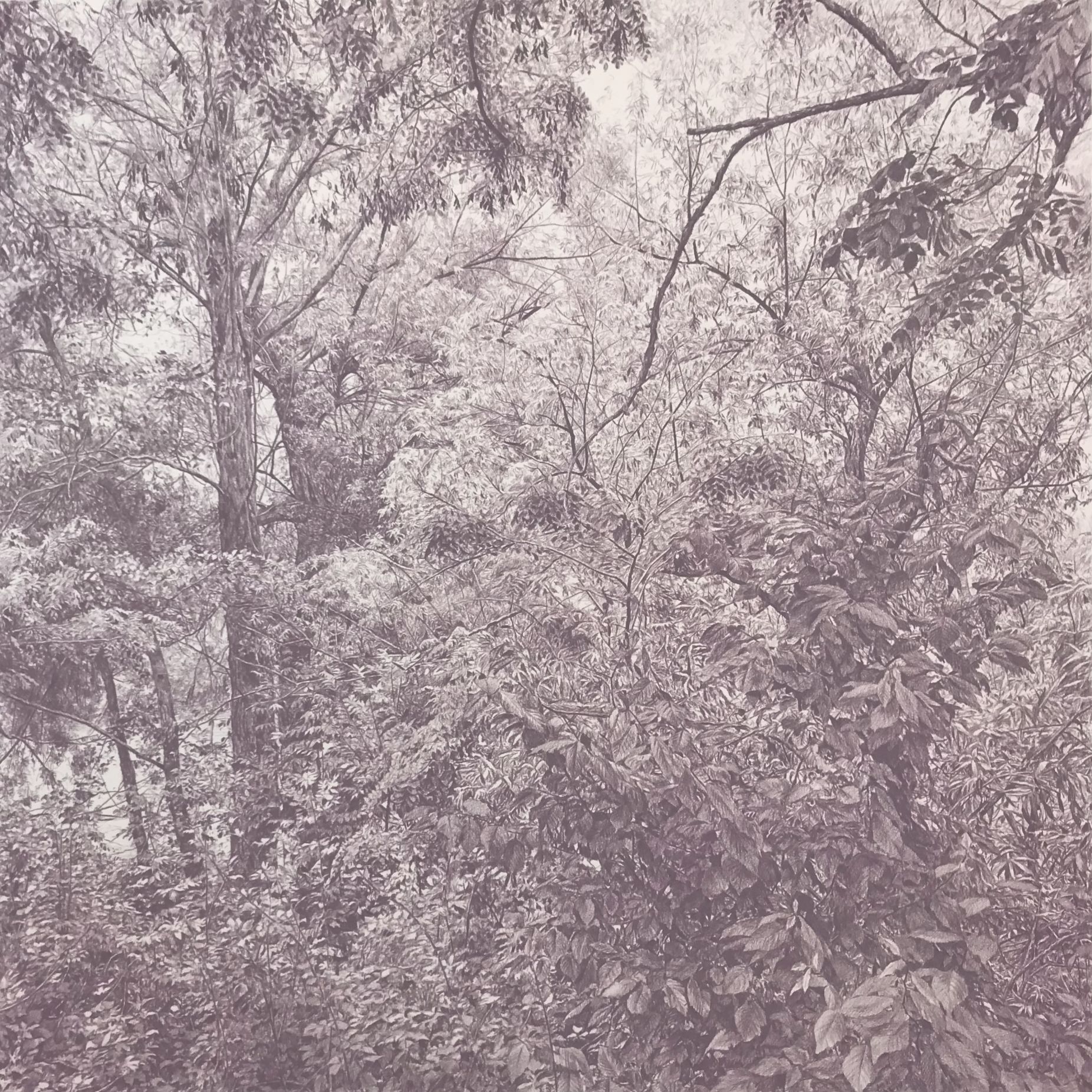 Violet Grey (2022) - Conchita Bardají