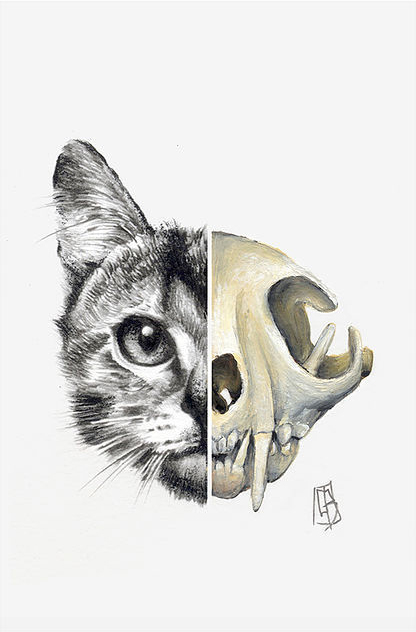 skin&bones (2015) - Guillem Bosch