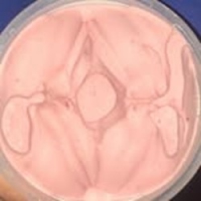 Imagen de Lucía Reissig publicada en su perfil de Instagram