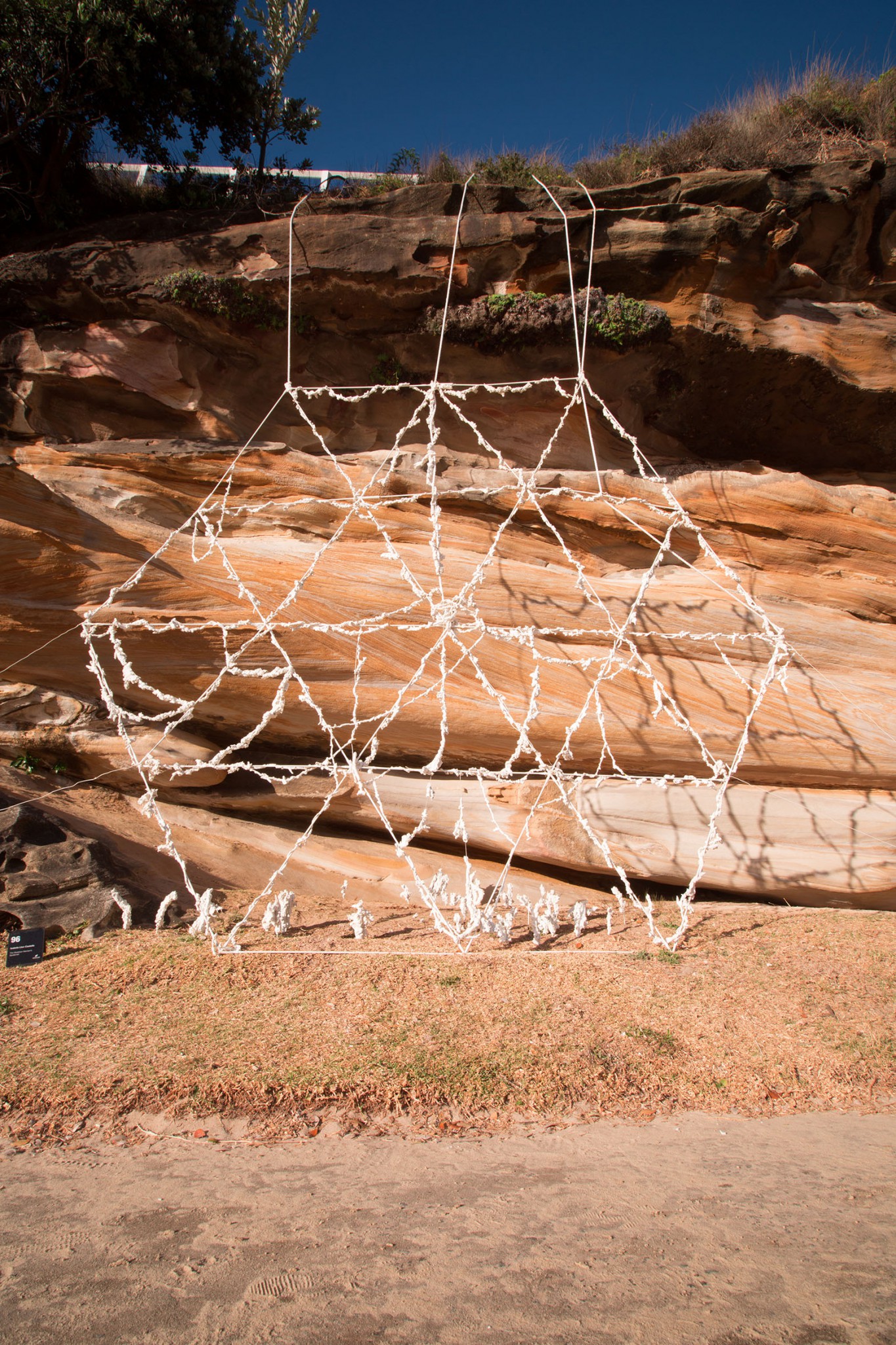 The Skeletton Woman Spidernet (2017) - Isabela Lleó Castells