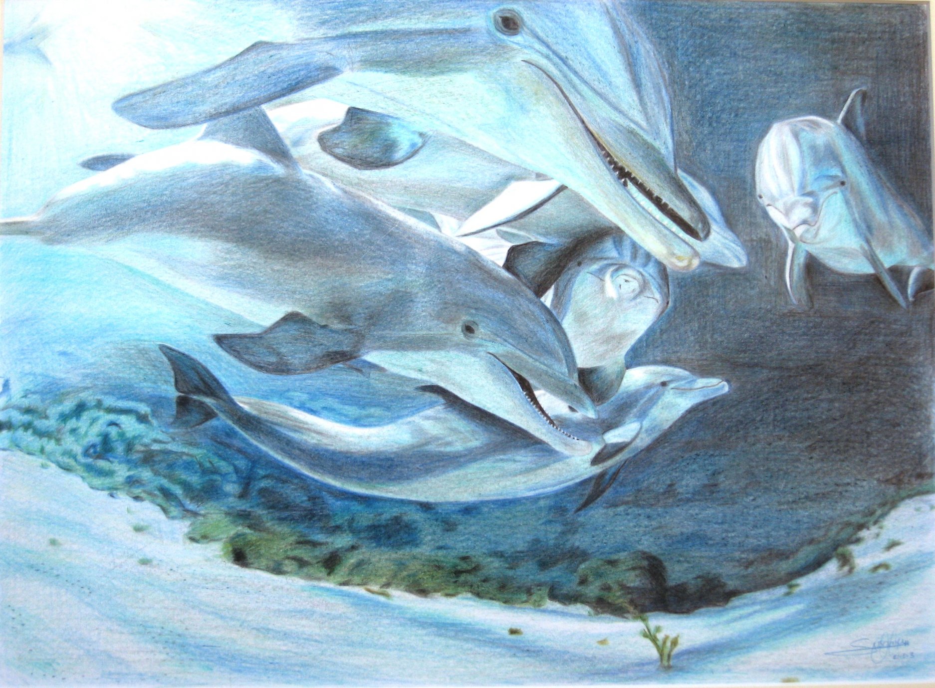 Delfines (2003) - Alonso de Sousa